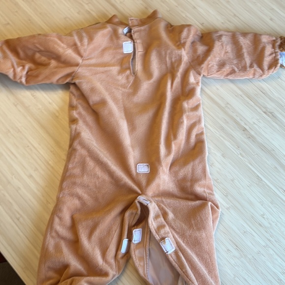 Little Lion Baby Costume - Picture 13 of 14